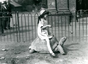 Malá dívka, Betty, drží hůl s jablkem na konci, aby vedla obří želvu, na které jede, Londýnská zoo, 1924 od Frederick William Bond