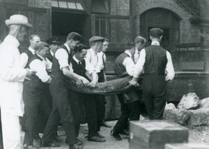 Tým mužů nese aligátora, na kterého dohlíží Sir Peter Chalmers Mitchell, Londýnská zoo, 1924 od Frederick William Bond