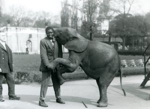 Mladá slon africký stojí na zadních nohách, aby objal svého afrického trenéra, zatímco ošetřovatel se dívá, Londýnská zoo, červenec 1925 od Frederick William Bond