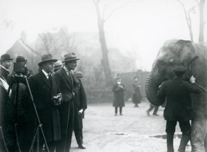 Slon indický, možná Sundermalah, účastnící se vnějšího vysílání z londýnské zoo, 1925 od Frederick William Bond