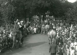 Vyjížďky na slonech se třemi asijskými slony sledovanými davy přihlížejících v londýnské zoo v srpnu 1926 (černobílá fotografie) od Frederick William Bond