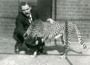 Chovatel Charles Dixon s hravým gepardem v londýnské zoo, říjen 1922 od Frederick William Bond