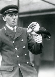 Chovatel, Thomas Raggett, držící tukana rudozobého s vejcem v tlamě v londýnské zoo v roce 1924 od Frederick William Bond