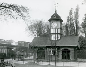 Velbloudí dům. Londýnská zoologická zahrada od Frederick William Bond