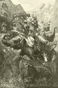 Lov tygrů v Indii (rytina)