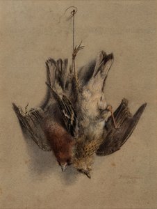 Zátiší, skřivani od Frederick William Jackson