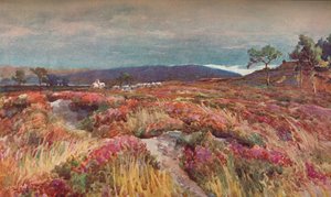 On The Heath Lytchett Minster, c1904