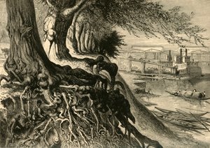 „Savannah, v Augustě“, 1872.