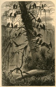 "Čekání na rozklad", 1872.