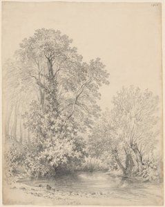 Stromy u řeky na hradě Bromwich od Frederick William Watts