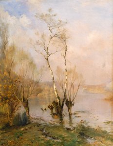 Břízy, autor: Federico Rossano od Frederico Rossano