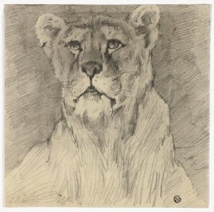Pohled na sedící lvici zepředu od Frederik William Zurcher