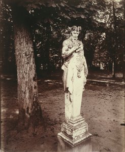 Versailles-Faun od Eugène Atget