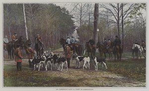 Křižovatka ve Foret de Rambouillet, Francie (barevné foto) od French Photographer