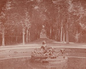 Povodí Flora, park Versailles (černobílá fotografie) od French Photographer