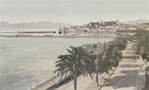 Cannes, přístav a staré město, Boulevard de la Croisette od French Photographer