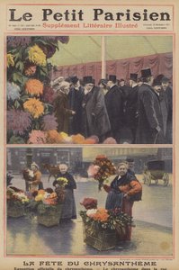 Chryzantémy