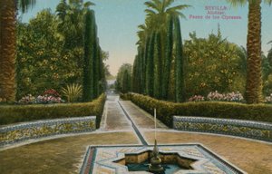 Cypress Walk, Alcazar, v Seville, Španělsko. Pohlednice odeslána v roce 1913. od French Photographer