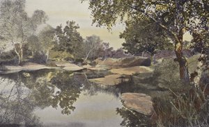 Fontainebleau, Forest, Mare de Franchard od French Photographer