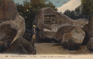 Fontainebleau, La Foret, Skála Milétu a Rousseau od French Photographer