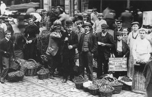 Zahradníci na trhu Les Halles, Paříž, 1907 od French Photographer