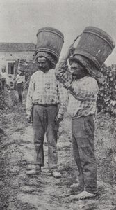 Sběrači hroznů v práci (černobílá fotografie) od French Photographer