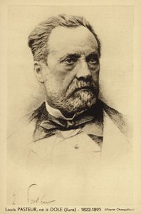 Louis Pasteur (1822-1895), francouzský chemik a mikrobiolog od French Photographer