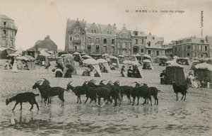 Mers - část pláže. Pohlednice odeslána v roce 1913. od French Photographer