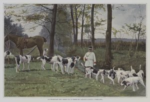 Smečka psů barona de Carayon-Latour ve Virelade, Francie (barevné foto) od French Photographer