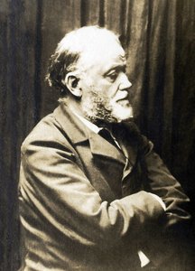 Portrét Henriho Fantina Latoura (Fantin-Latour) od French Photographer