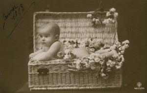 Pohlednice miminka v proutěném košíku s květinami, odeslaná v lednu 1913 od French Photographer