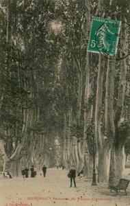 Promenade des Platanes v Perpignanu. Pohlednice odeslána v roce 1913. od French Photographer