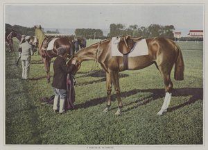 Dostihové koně v Deauville, Francie (barevné foto) od French Photographer
