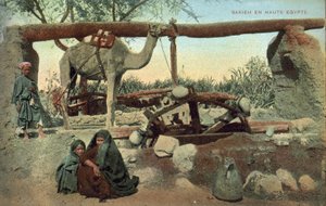 Sakia, Horní Egypt (barevná fotografie) od French Photographer