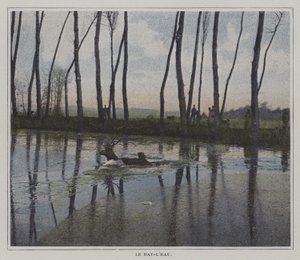 Jelen plavání k úniku z lovu (barevná fotografie) od French Photographer