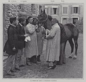 Odebírání vzorku krve z koně v Institut Pasteur v Paříži (č/b foto) od French Photographer