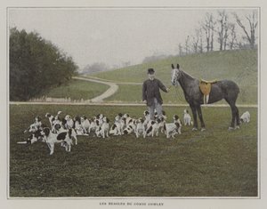 Bíglové hraběte Cowleyho (barevná fotografie) od French Photographer