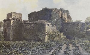 Tiffauges, Ruiny zámku, Pohled z nádvoří od French Photographer