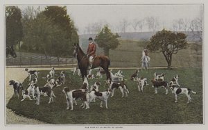 Tom Firr a psi z Quorn Hunt, Leicestershire (barevná fotografie) od French Photographer