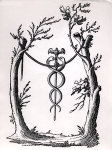 V Caduceu od French School