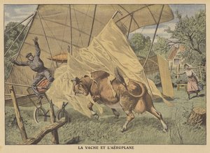Kráva útočící na letadlo na americkém středozápadě (barva litho) od French School
