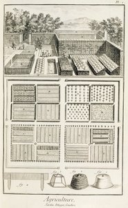 Zeleninová zahrada, z Encyklopedie vědy, umění a inženýrství od Denise Diderota (1713-84), kolem 1770 od French School