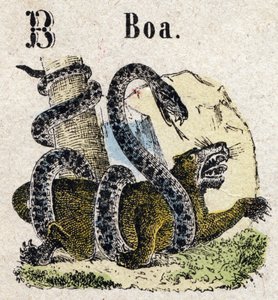 Abecedary. Písmeno B jako Boa. Malá encyklopedická abeceda, populární série. Epinal imaging, konec 19. století od French School