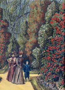 Aklimatizační zahrada - la serre des camelias - Skleník kamélií v botanické zahradě od French School
