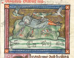 Přidat. 10292, f.29 Spící muž obklopený ptáky, ilustrace z 