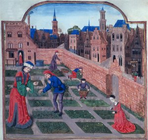 Přidat 19720 fol.165 Obezděná bylinková zahrada ve městě, z Livre des profits ruraux od Piera de Crescenzi z Bologne (1230-1320/1) konec 15. století (vellum) od French School