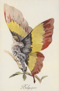 Alegorické vyobrazení Belgie jako motýla (barevná litografie) od French School