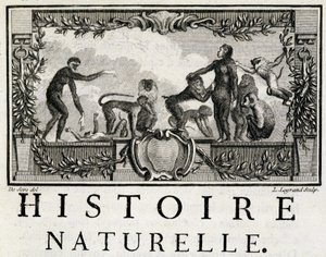 Alegorie přírodní historie na lidoopech – v „“Přírodní, obecné a partikulární historii““ od Buffona od French School