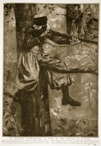 Alžírský ostrostřelec při práci v úkrytu v lese, 1914-19 od French School