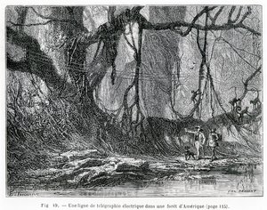 Elektrická telegrafní linka v americkém lese, kolem roku 1870 (rytina) od French School